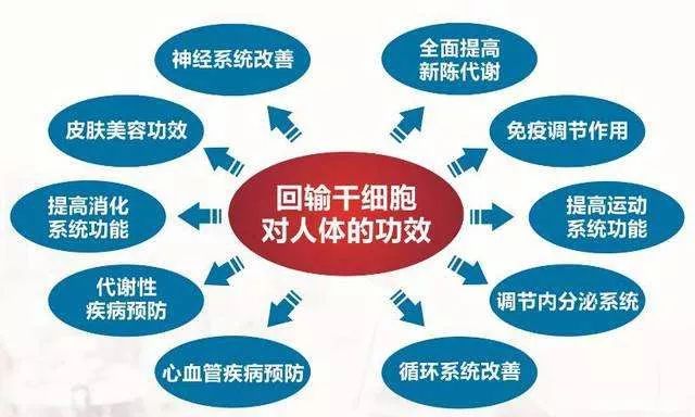 干細(xì)胞最新進(jìn)展與心靈自然之旅，前沿消息揭秘