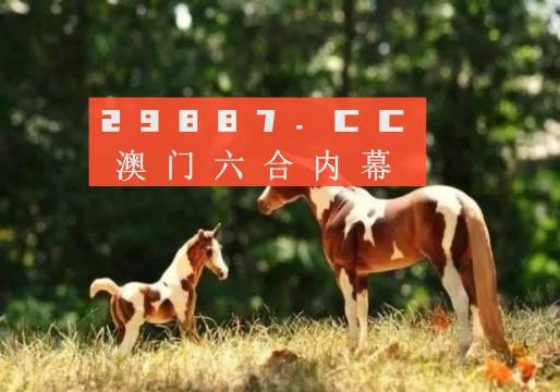 2024新澳生肖走勢圖,社會責(zé)任法案實施_PND51.455體驗版