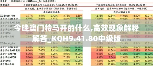 今晚開什特馬 是什么意思,實時分析處理_YXP51.367尋找版