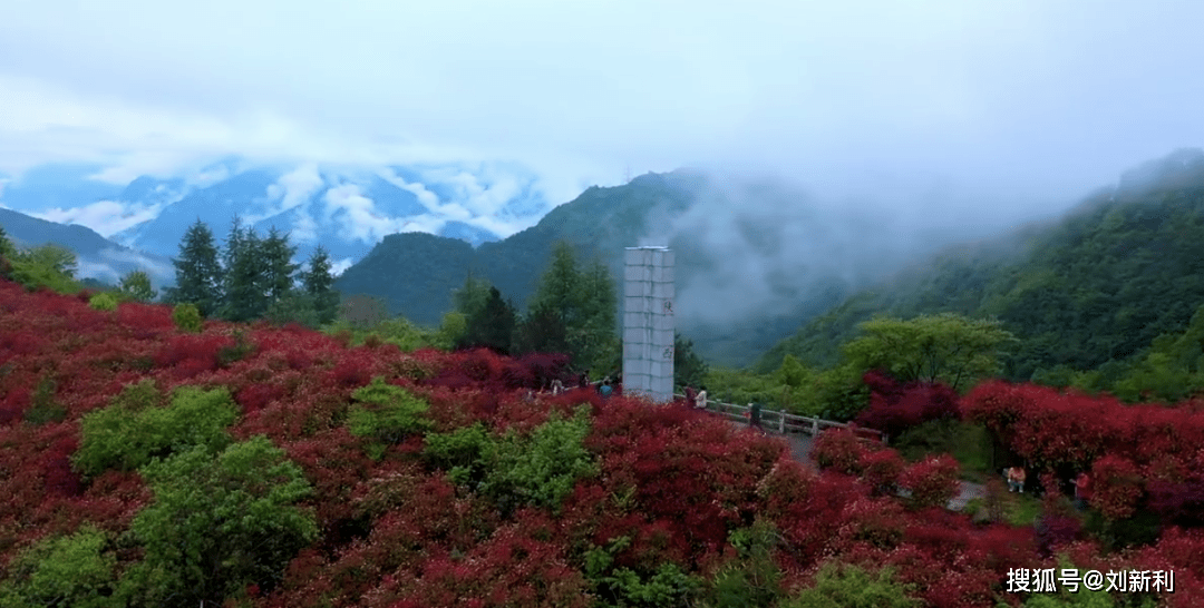 尉氏縣搬遷消息最新,尉氏縣搬遷消息最新，一場(chǎng)自然美景的探索之旅，心靈寧靜的呼喚