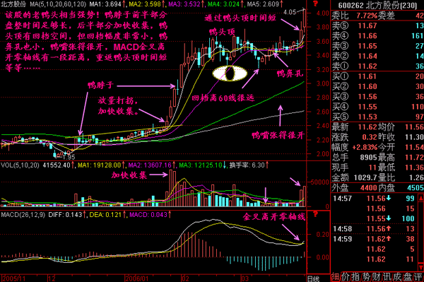 老鴨窩最最新地址一,定性解析明確評估_復(fù)興版23.155