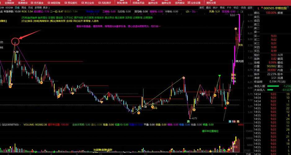 澳門精準資料大全正版資料小視頻,精準分析實踐_啟動版73.700