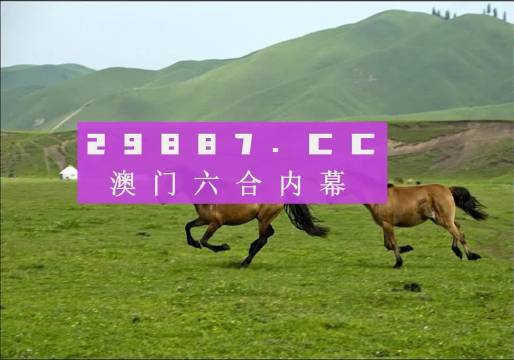 澳門跑狗圖,國際事務(wù)_百搭版73.952